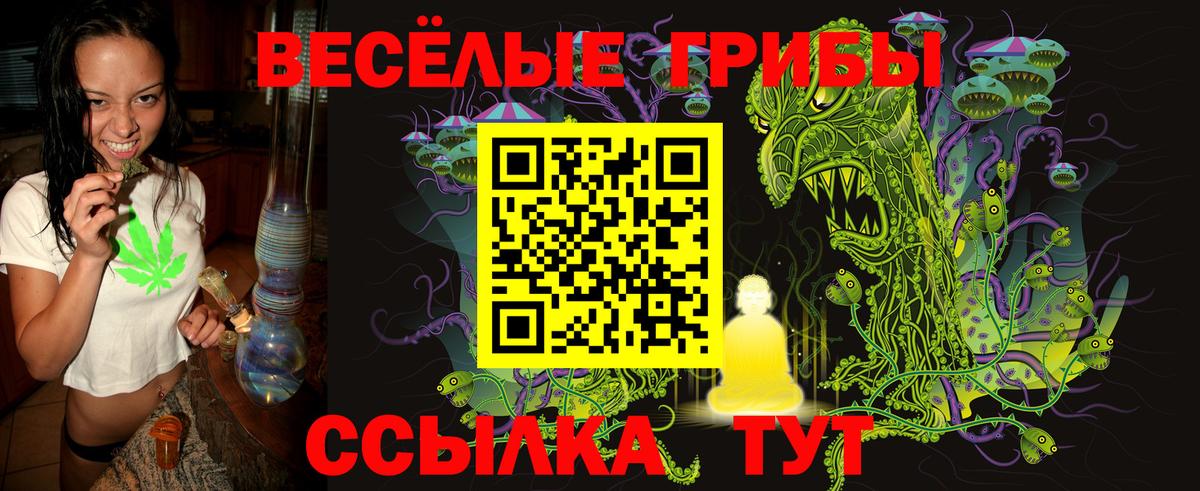 Псилоцибиновые грибы мицелий Железногорск