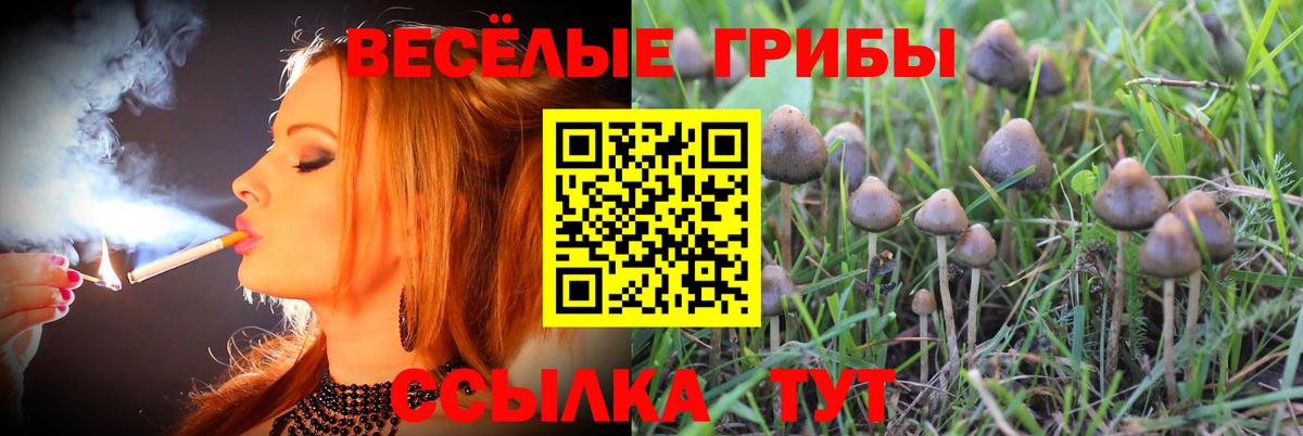 Псилоцибиновые грибы ЛСД  Вход с VPN  Железногорск 
